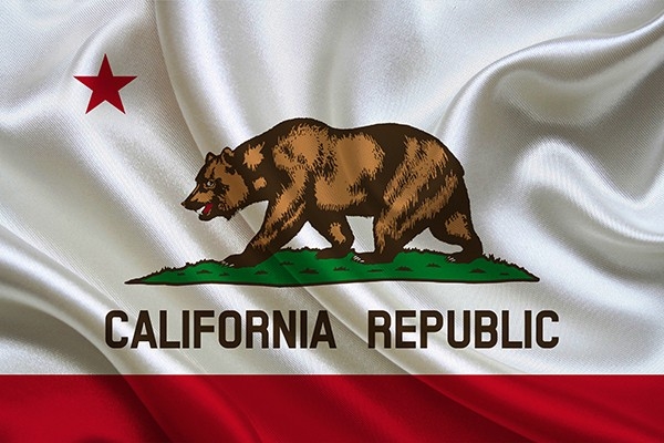 California Republic flag featuring a brown bear walking on green grass, with a red star above and the words 'CALIFORNIA REPUBLIC' beneath the bear