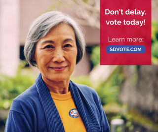 Don't Delay - Vote Today!